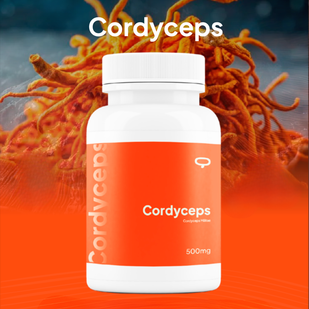 Cordyceps - Cápsulas
