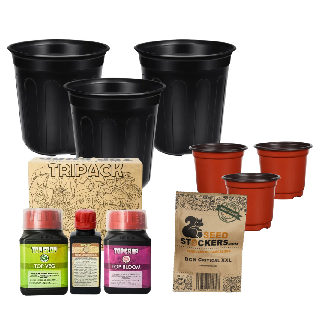 Kit de inicio para cultivo de Cannabis - Semillas BCN Critical XXL