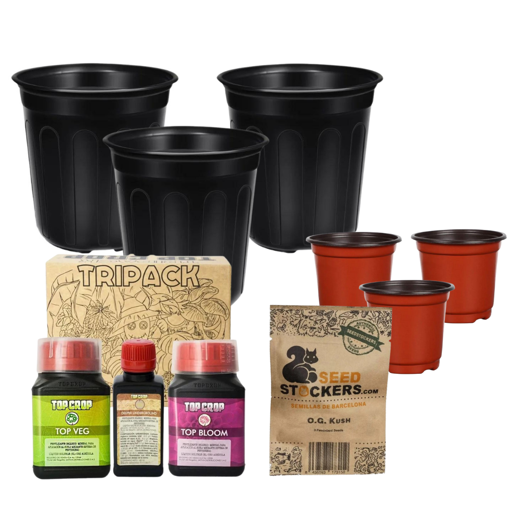 Kit de inicio para cultivo de Cannabis - Semillas OG Kush