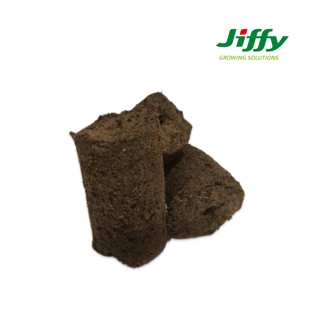 Comprimidos para esquejes - Jiffy