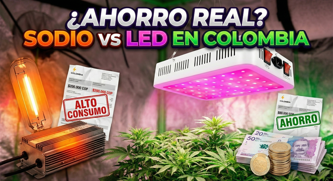 ¿Cuánto sube realmente el recibo de luz con un Cultivo Indoor en Colombia? (Cálculo 2025)