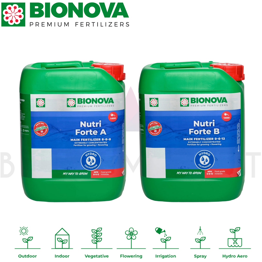 Fertilizante Bionova Hydro A Hydro B 5lt