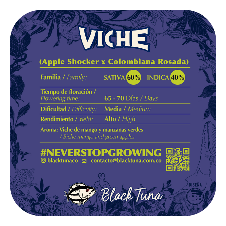 Viche - Black Tuna (Regulares)