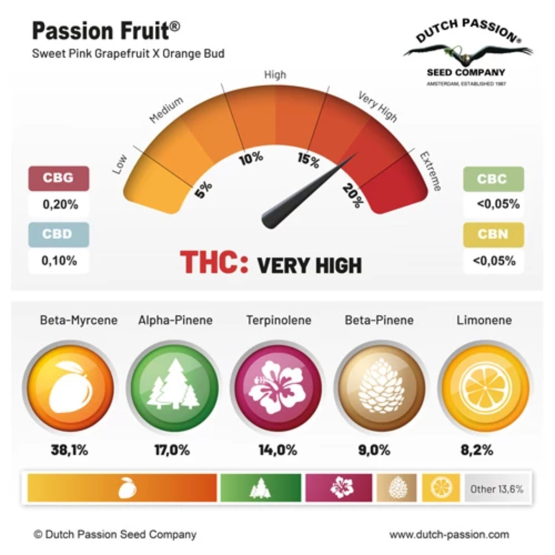 Passion Fruit - Dutch Passion