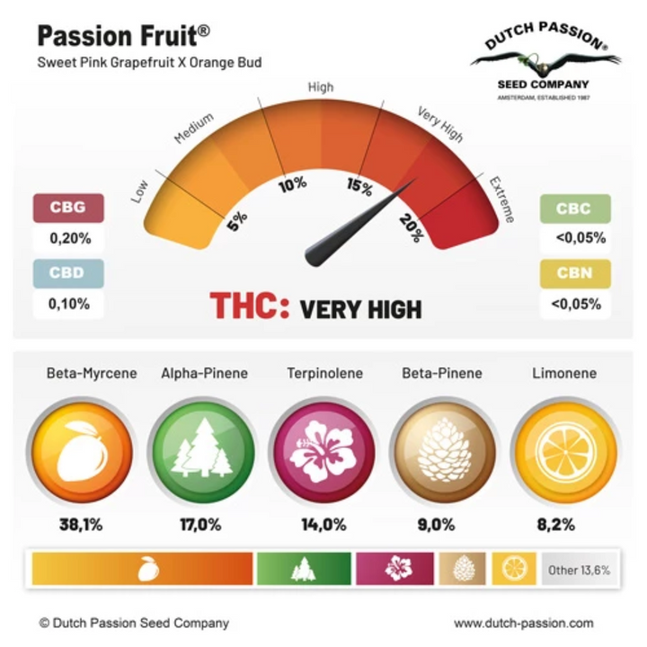 Passion Fruit - Dutch Passion