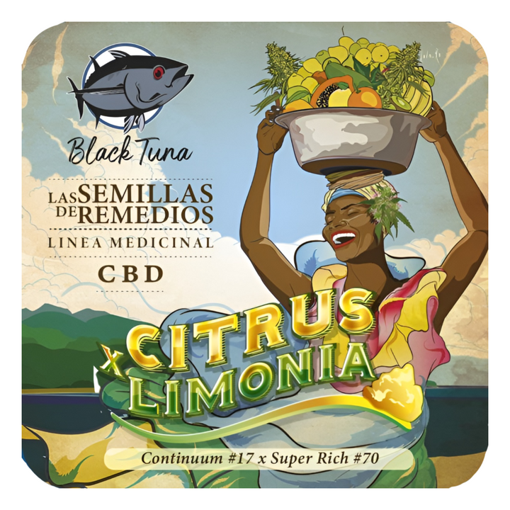 Citrus limonia CBD - Black Tuna Seeds