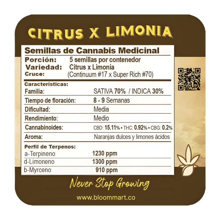 Citrus limonia CBD - Black Tuna Seeds