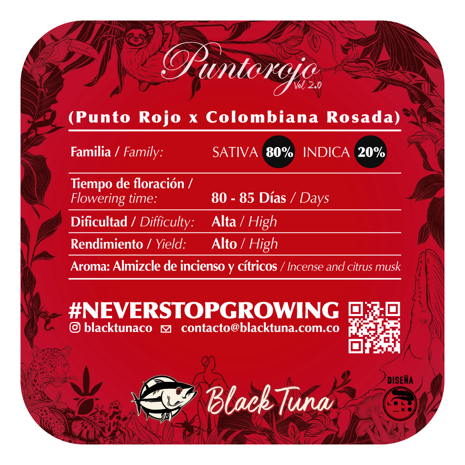 Punto Rojo - Black Tuna (Regulares)